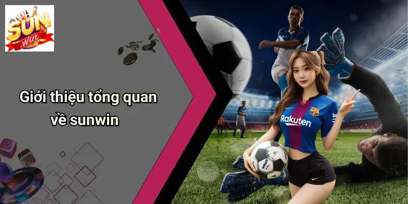 Giới thiệu tổng quan về sun win